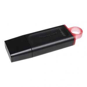 MEMORIA USB  KINGSTON DTX/256, 256 GB, USB 3,2 - DTX/256GB