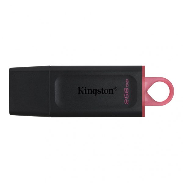 MEMORIA USB  KINGSTON DTX/256, 256 GB, USB 3,2 - DTX/256GB - Image 2