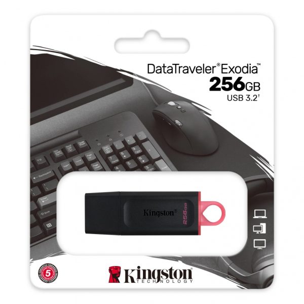 MEMORIA USB  KINGSTON DTX/256, 256 GB, USB 3,2 - DTX/256GB - Image 3